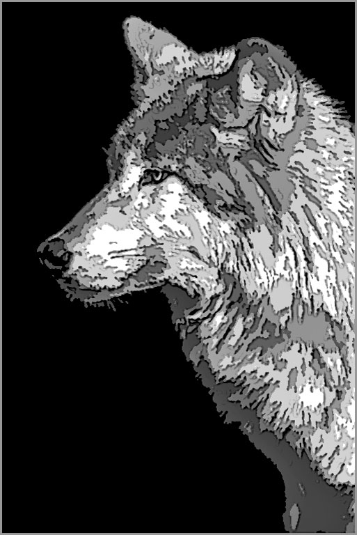 Wolf Portrait